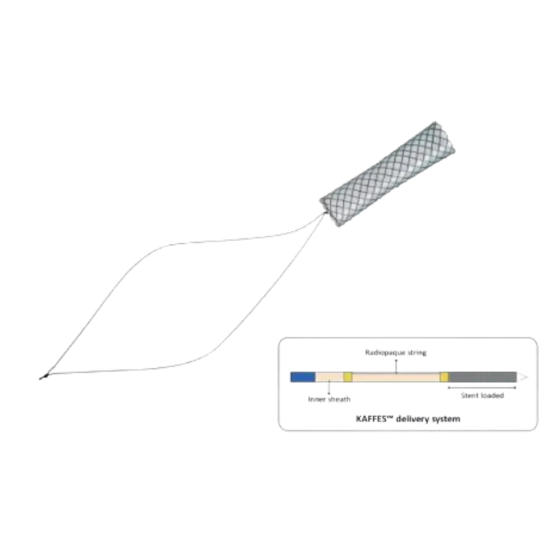 Stent Biliar KAFFES
