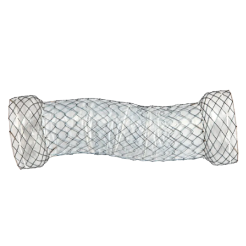 Stent Esofágico DUAL