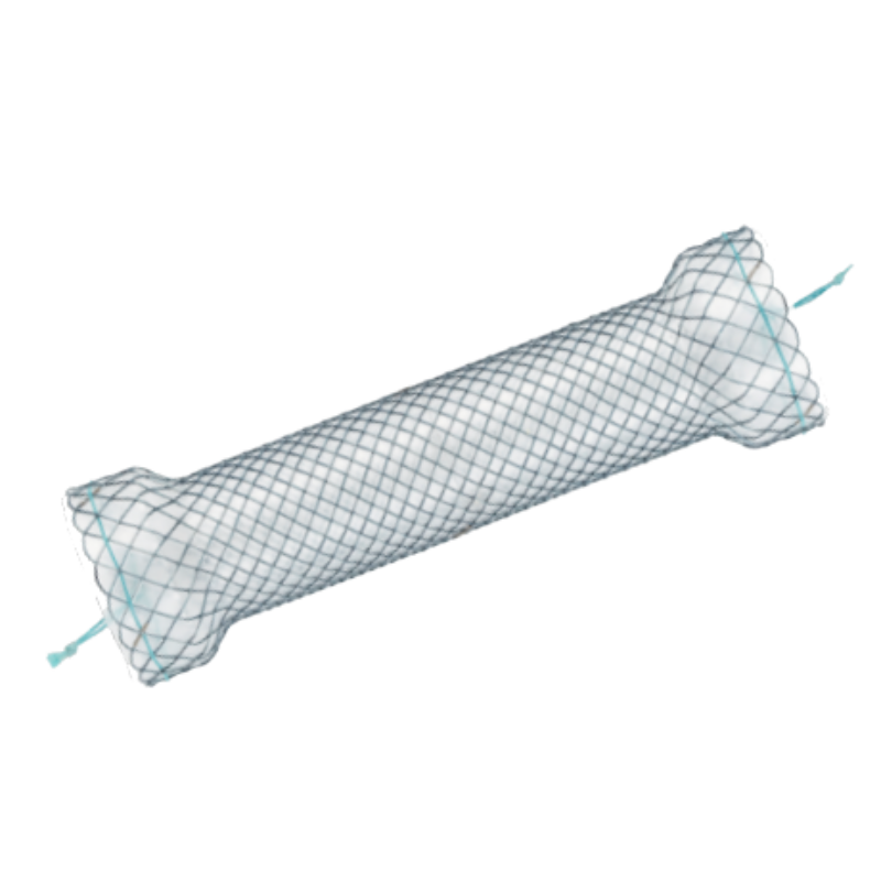 Stent Esofágico S